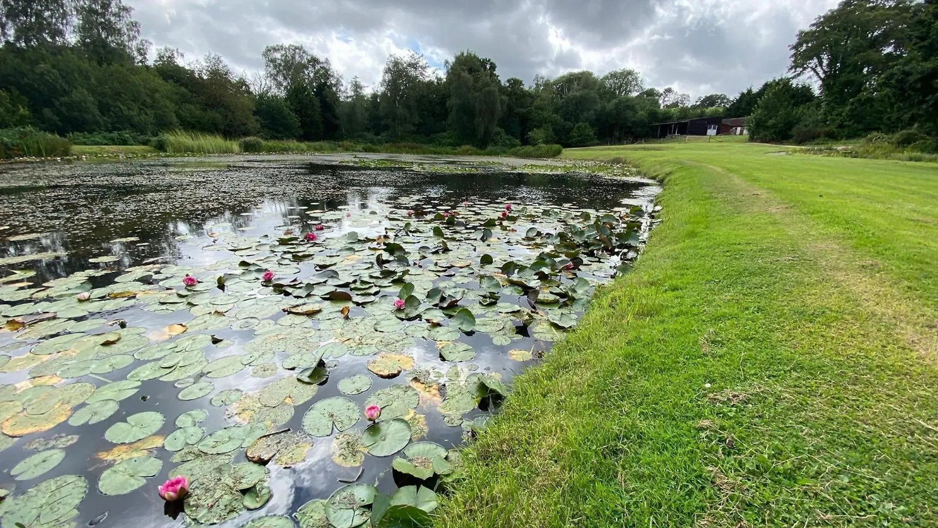 Lake View Wimborne Minster Apartment