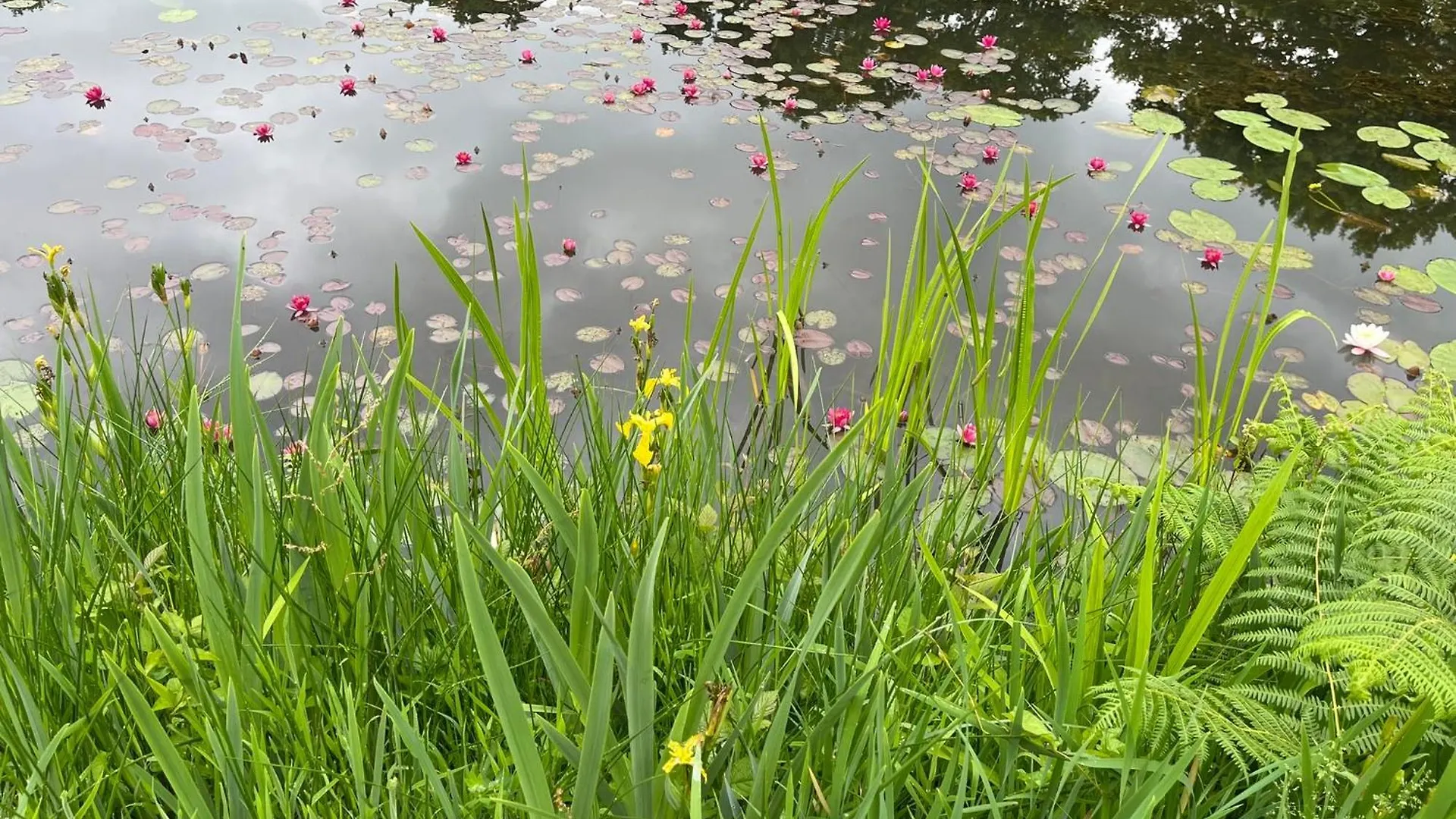 Lake View Wimborne Minster 0*,  United Kingdom