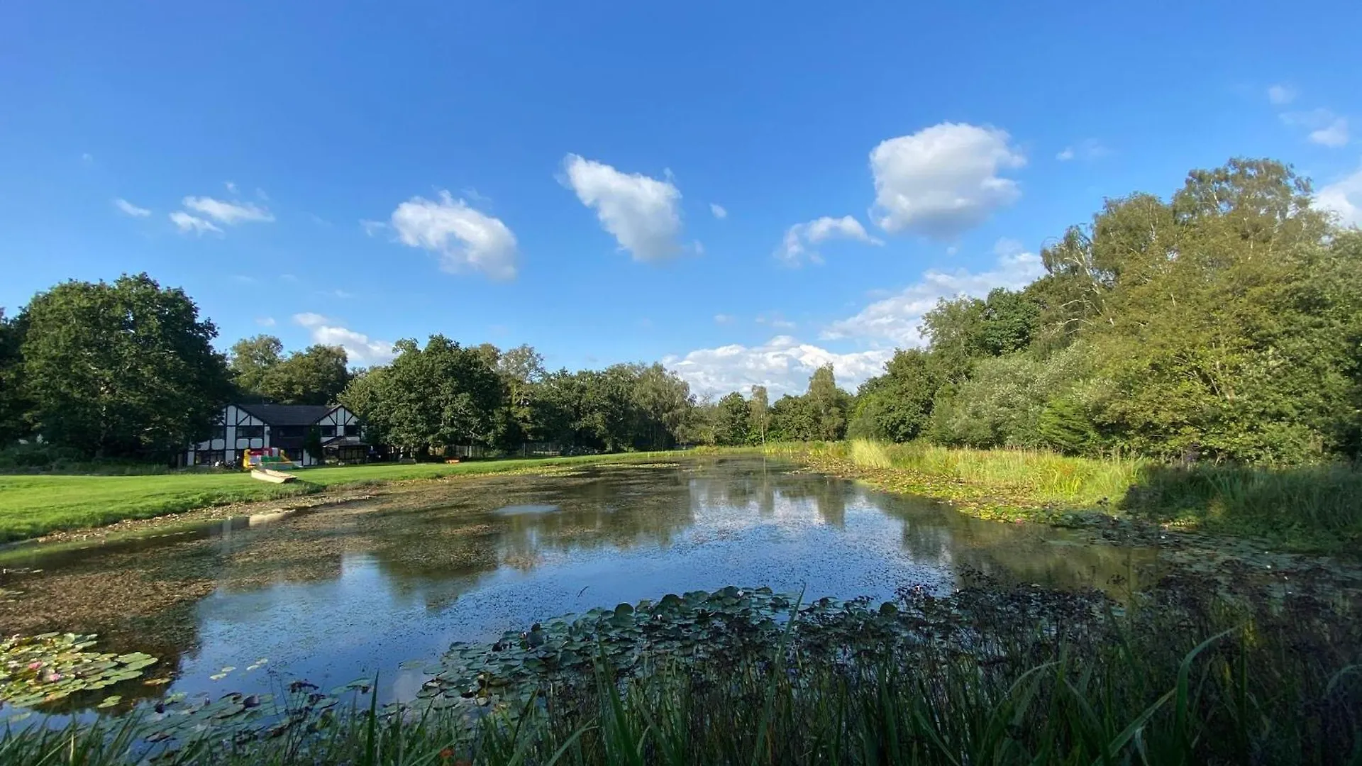 Lake View Wimborne Minster Apartment